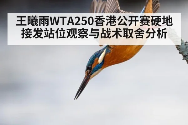王曦雨WTA250香港公开赛硬地接发站位观察与战术取舍分析